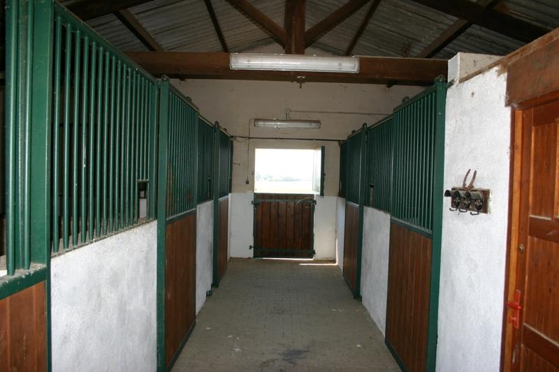 Mas en Provence a vendre avec manege et boxs a chevaux
